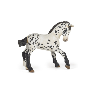 HŘÍBĚ APPALOOSA ČERNÉ
