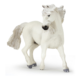 KŮŇ CAMARGUE