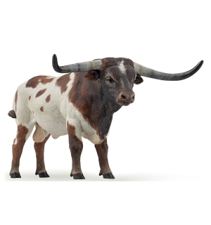 býk Longhorn