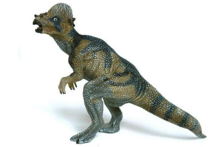 PACHYCEPHALOSAURUS
