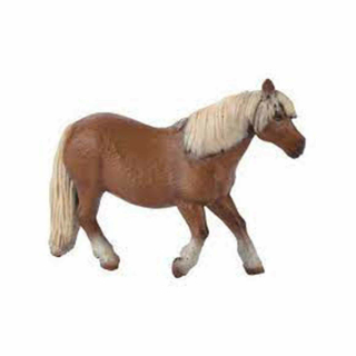 PONY SHETLANDSKÝ