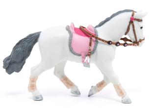 PONY CHODÍCÍ
