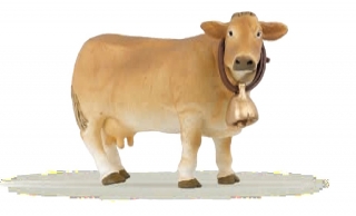 KRÁVA SVĚTLE HNĚDÁ